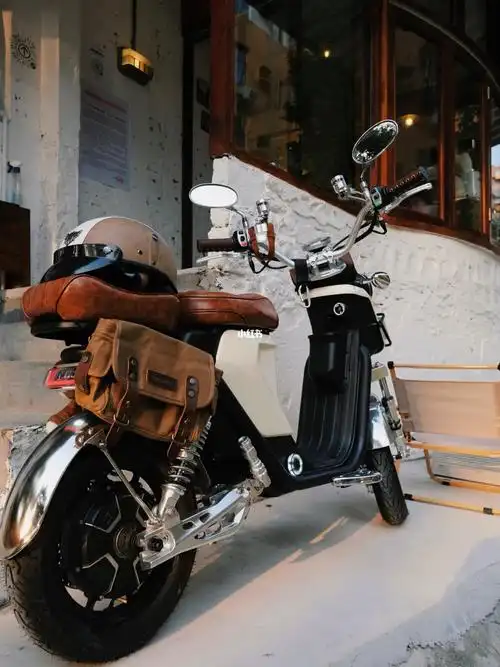 小牛u1d  #小牛uqi  #小牛复古  #小牛改装