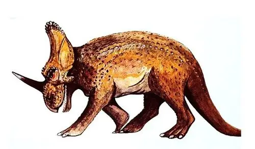 独角龙的发现历史