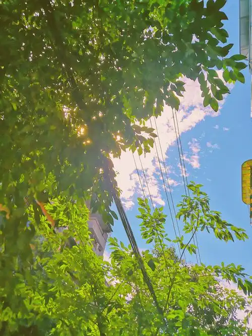 降温了怀念阳光灿烂的夏天成都老街区的夏末