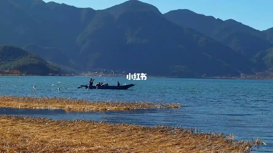 岁月静好山河无恙