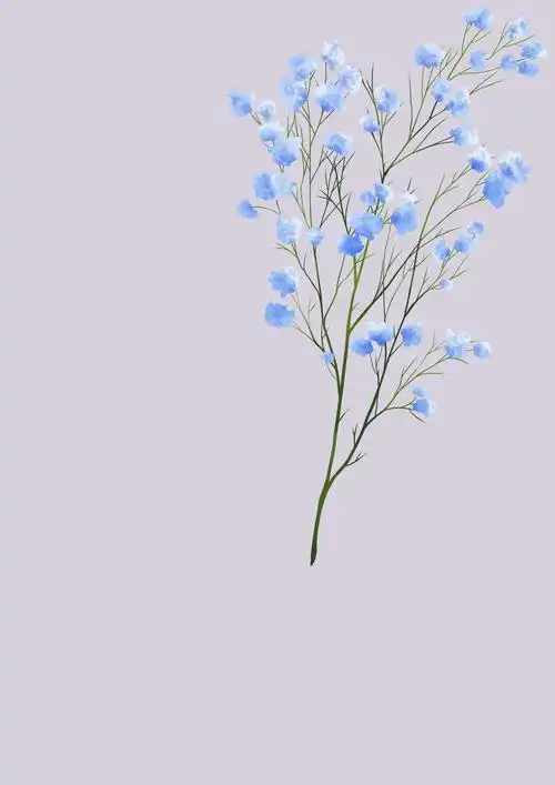 花物语—满天星 - 优动漫-动漫创作支援平台 | 优动漫paint绘画软件