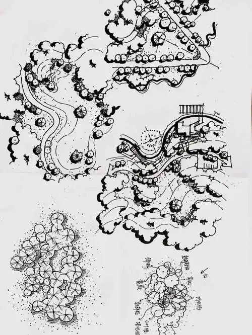 节点02植物营造空间