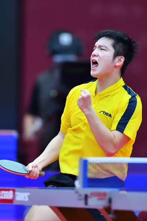 全國錦標賽樊振東獲得男子單打冠軍113