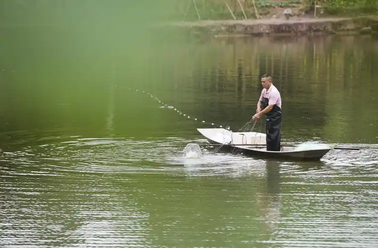 重庆璧山清水养鱼显效益