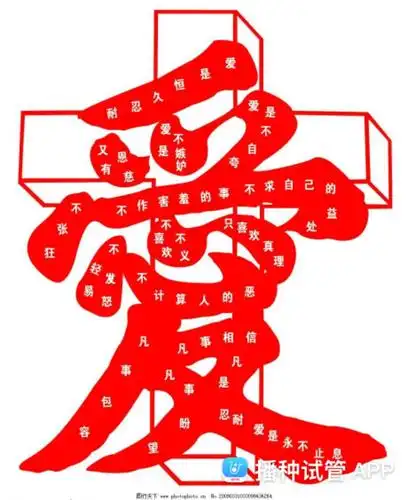 [试管婴儿]感谢主!十月二十号移植的冻囊胚