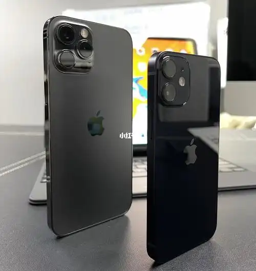 iphone12pro max 和iphone12mini对比