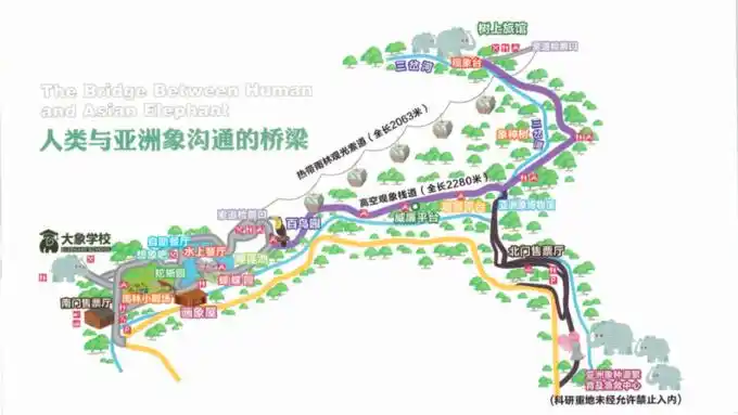 来西双版纳不可错过的野象谷超详细游玩攻略