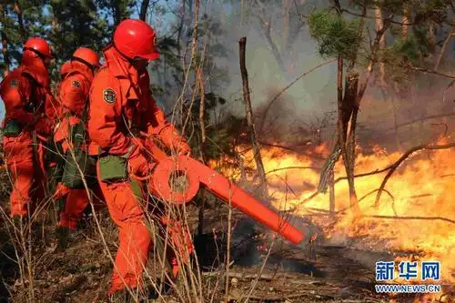 黑龙江东宁县发生森林火灾组图