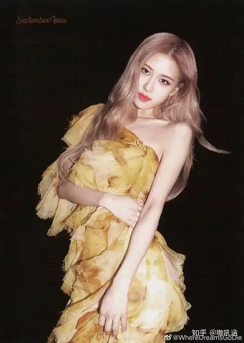 有适合做头像的blackpink的照片吗