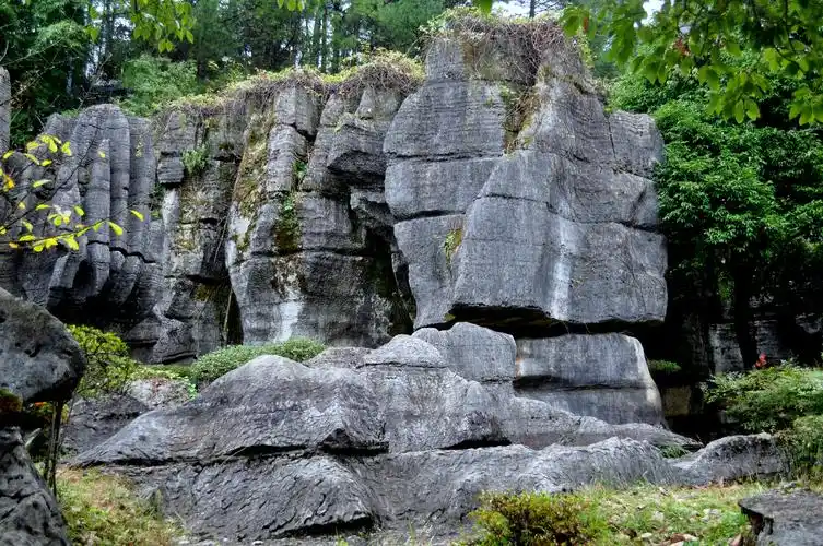 2020重庆龙鳞石海