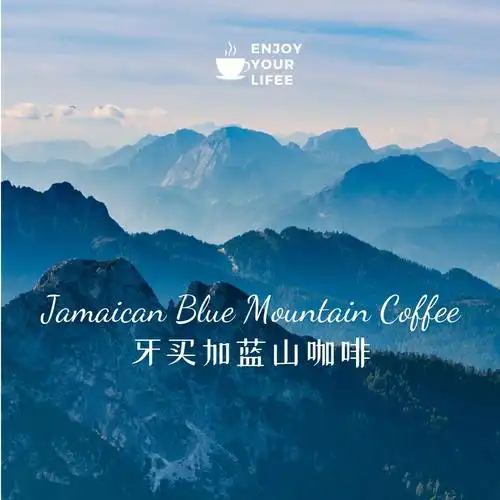 蓝山和摩卡,卡布奇诺的咖啡价格_咖啡豆的种植条件_蓝山咖啡种植条件