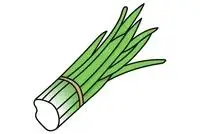 韭菜简笔画大全_简笔画图片大全