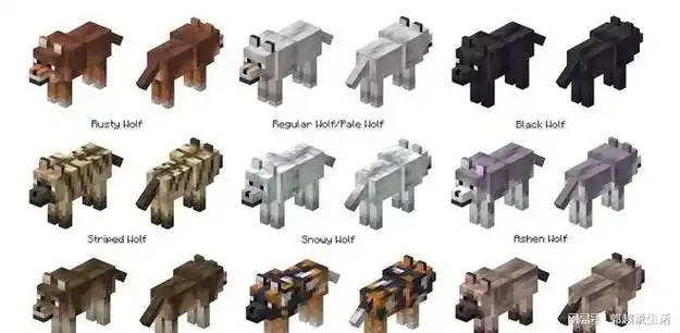 我的世界, 关于1.21"狼"的未来更新! 哈士奇,金毛,哈巴狗!