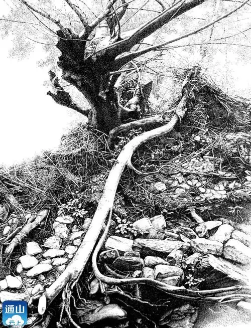 【墨染九宫】第四十五期 | 铁笔写春秋 丹青铸精神——毛才奇钢笔画