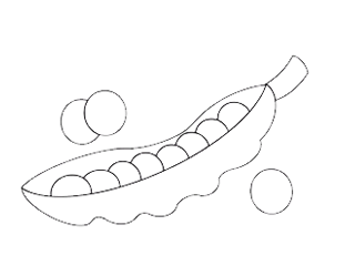 豌豆荚简笔画步骤画法教程