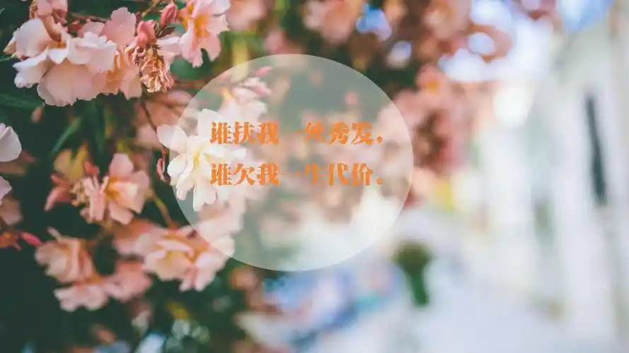 唯美经典语录文字高清电脑桌面主题壁纸图片下载