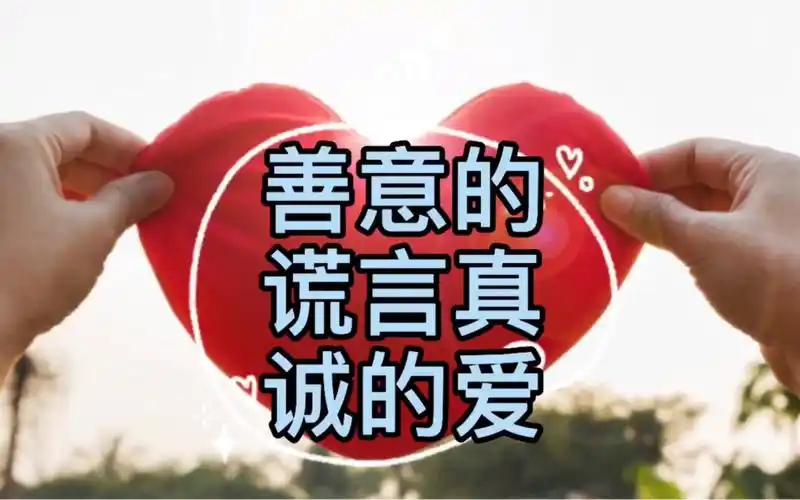 活动作品善意的谎言真诚的爱