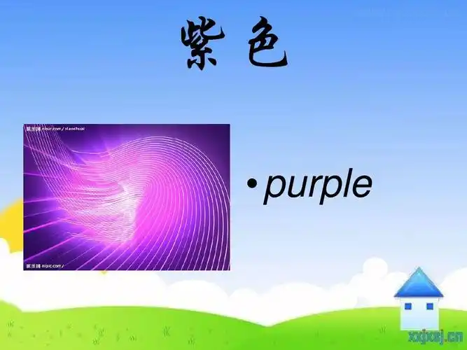 紫色   purple