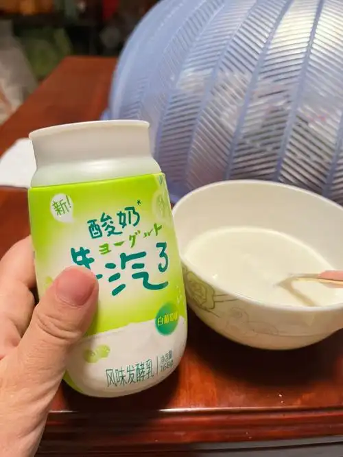气泡酸奶新希望风味发酵酸奶