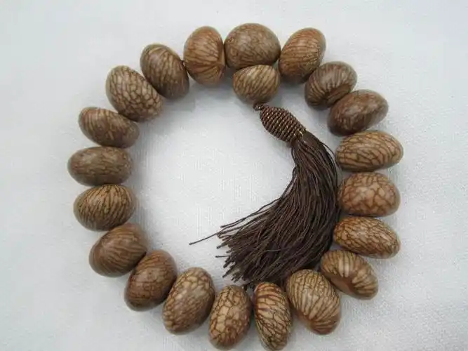 天然金丝果(血丝)菩提子 佛珠 提珠 17x29mm