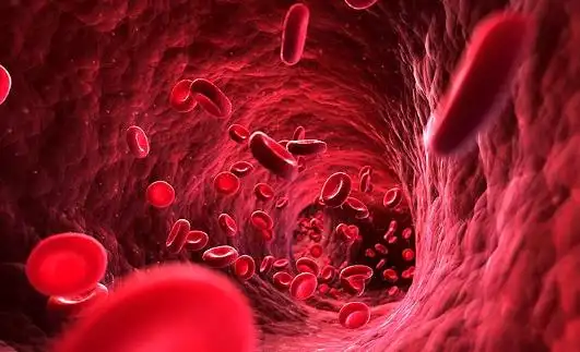 血是身体的必需品 但却不能喝