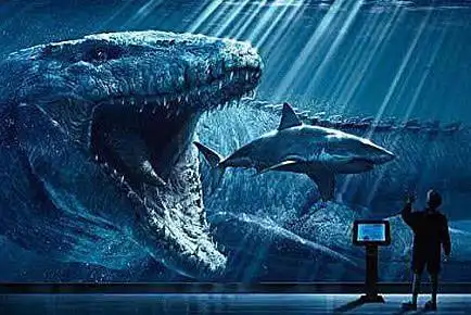 巨齿鲨吃恐龙的简笔画