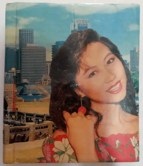 高楼大厦加性感美女,这是九十年代非常流行的海报风格.纯情美女.