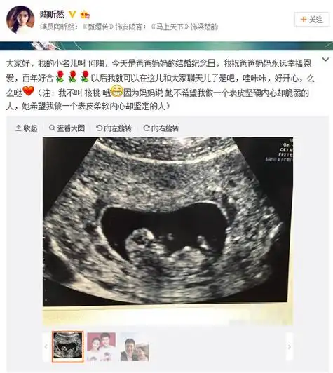 安小主怀孕!陶昕然晒b超照 孩子取名何陶