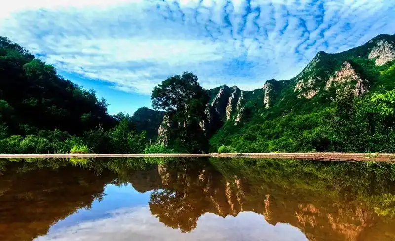 教师节 | 老师游梨木台免门票_梨木台风景区-官方网站