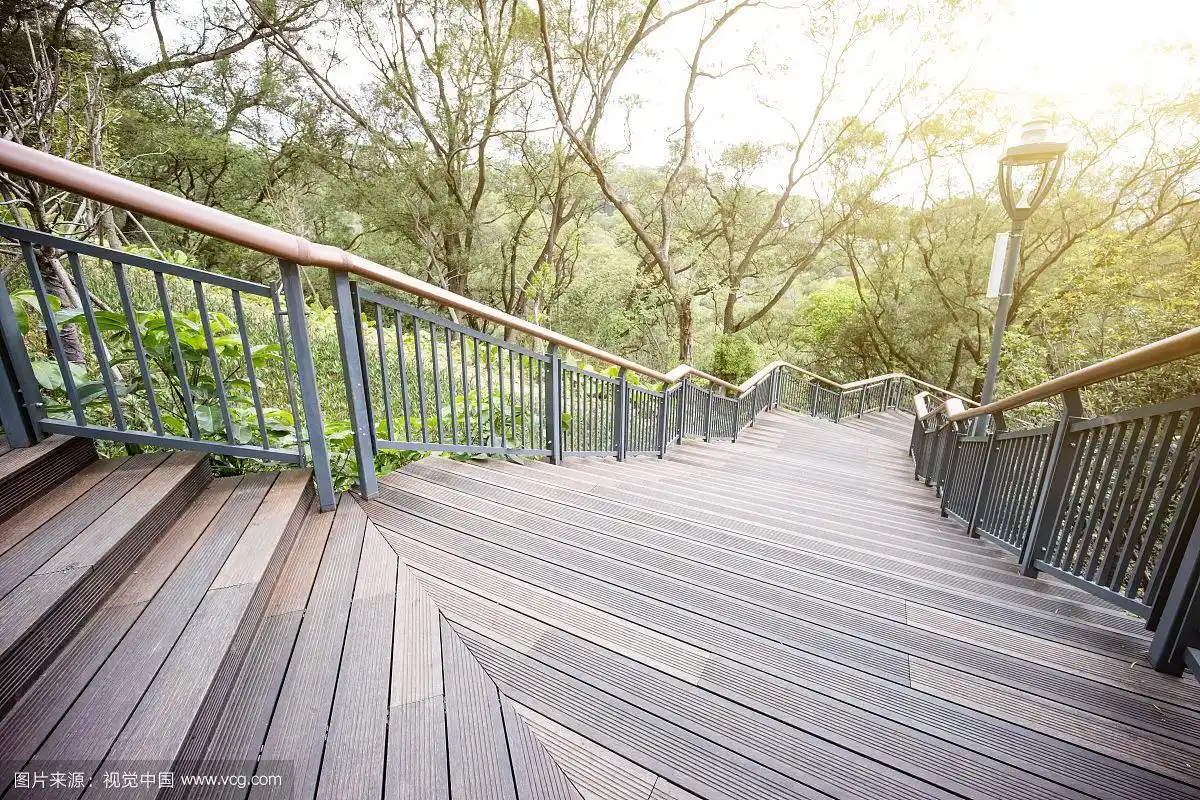 林间栈道