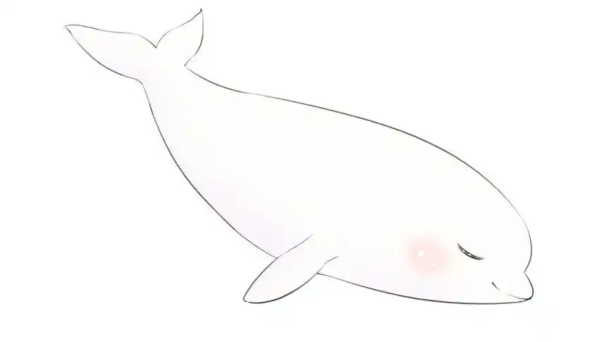 轻轻呼气小白鲸