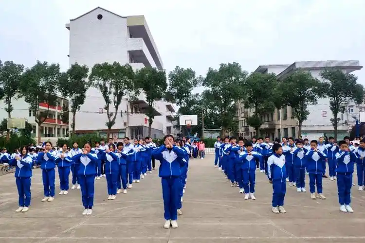 阳光体育伴我成长灵官殿中学举办学生武术操比赛