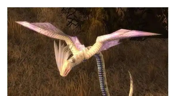 蛇,有翅膀,会飞,靠这种本事会主宰所在生物圈吗