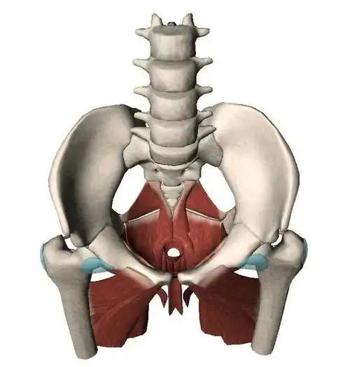 练瑜伽女生一定要多练内收肌真的很重要