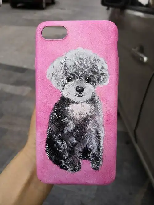 rinka谨制—纯手绘手机壳