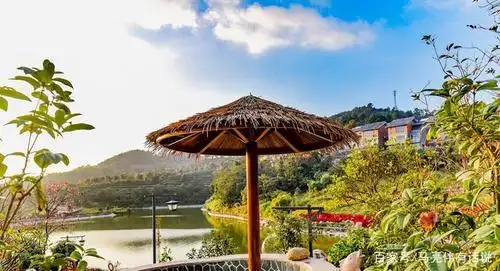 广东云浮新兴县象窝山惊现"佛光",幸运瞬间被游客拍到,好美!