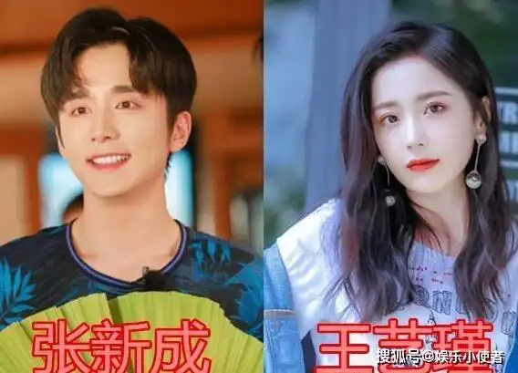 王艺瑾是谁旗下的艺人 王艺瑾是不是张新成前女友_手机搜狐网