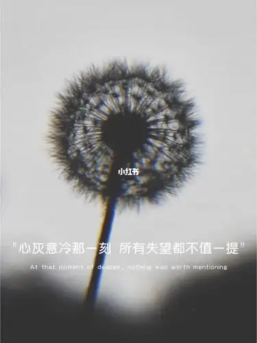心灰意冷的那一刻所有失望都不一提是