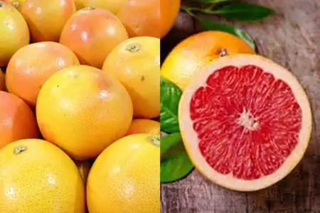 【图】葡萄柚和西柚的区别 很多人其实都搞错了
