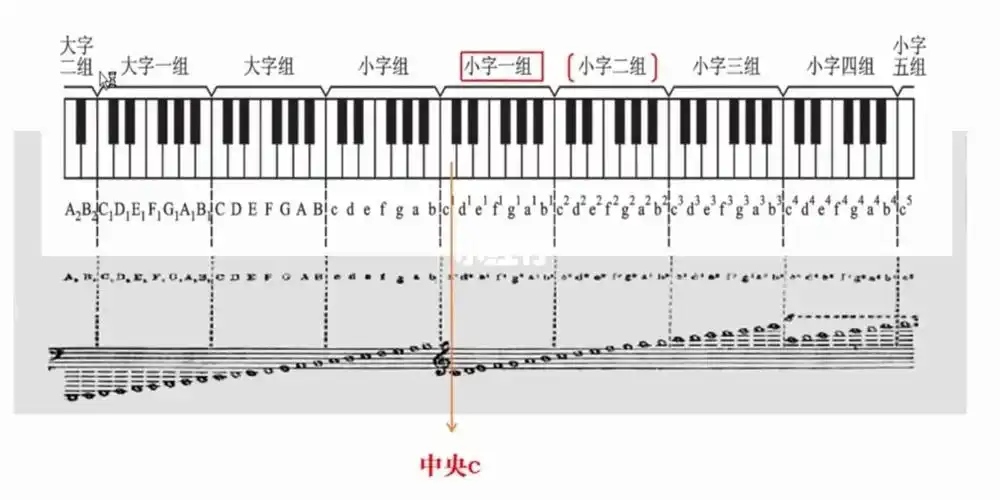 中央c在小字一组奥