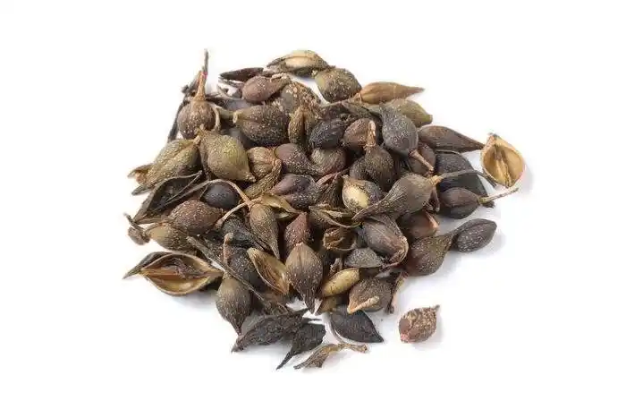 【浦树抄方】银翘散