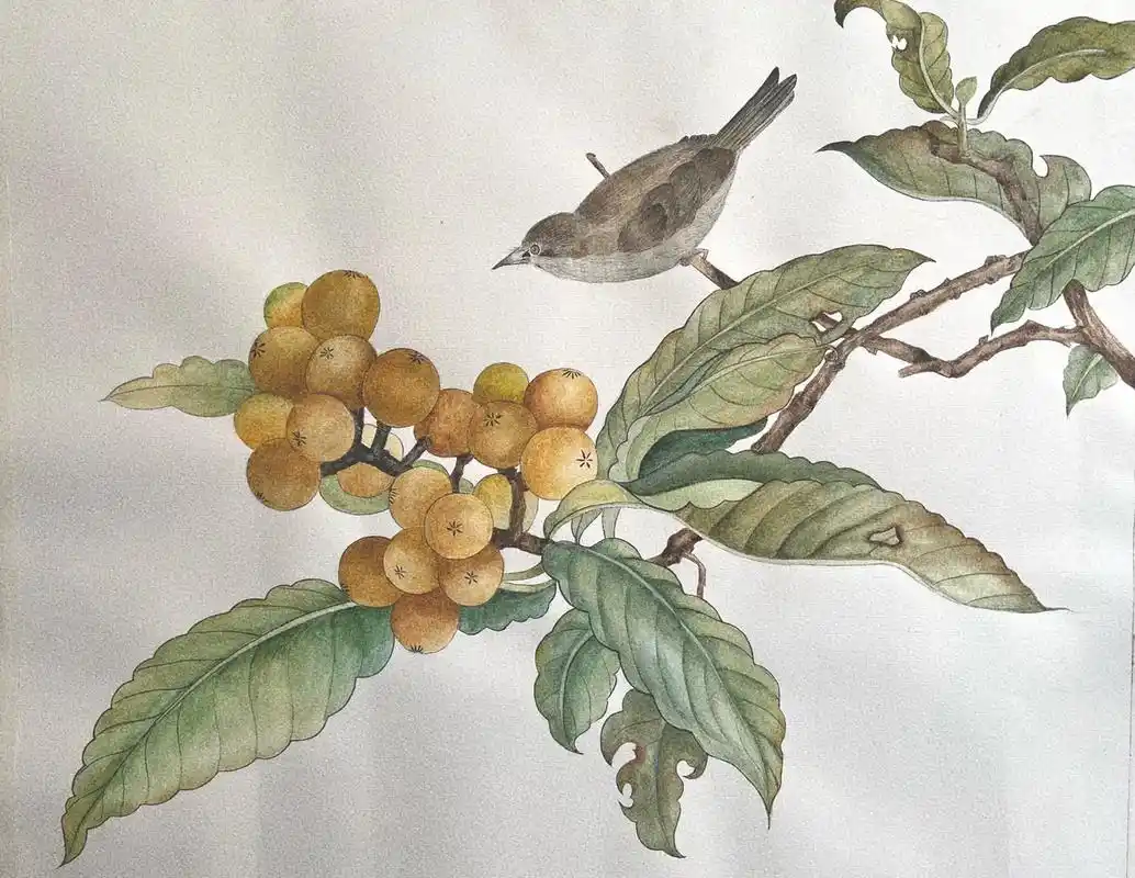 用固体水彩颜料画工笔,初次尝试.#工笔花鸟 #国画 #工笔画 - 抖音