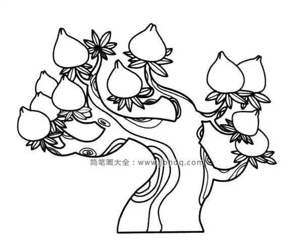 桃子树的简笔画