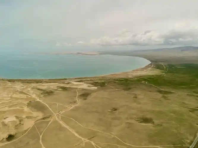 青海湖沙岛沙漠化严重,现在正在治理当中.