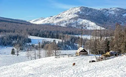 难忘的北疆之旅