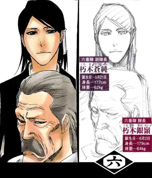 朽木绯真    白哉的亡妻.