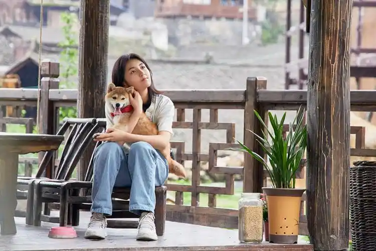 张子枫《向往3》领养萌柴"小锅" 形影不离展双倍可爱