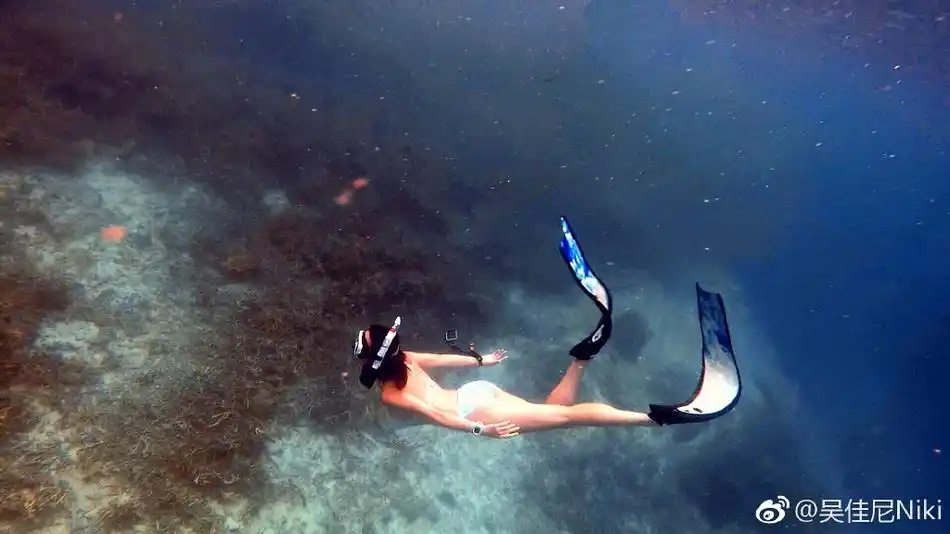 组图:马景涛前妻吴佳尼晒比基尼美照 长腿水蛇腰身材好到爆