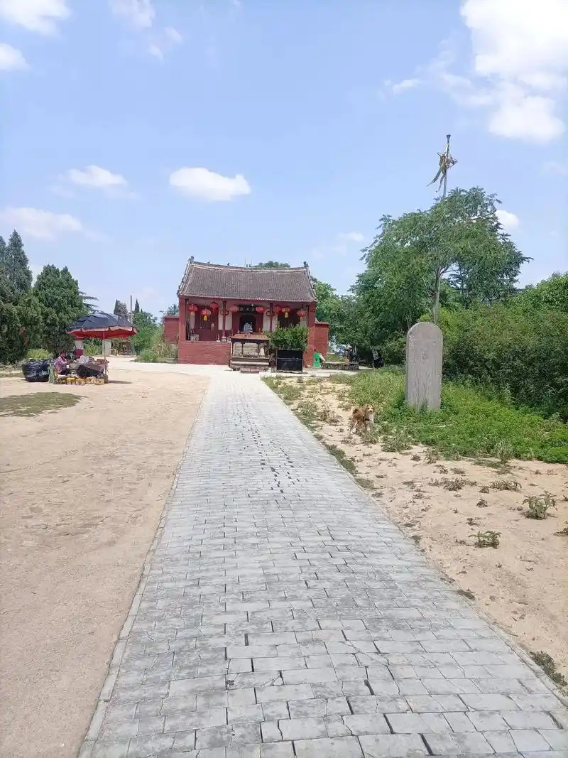 洛阳邙山森林公园.#感受大自然的气息和美景 #随手一拍都是美 - 抖音