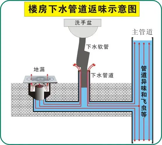 斯格雅 地漏 防臭 不锈钢 防臭地漏芯 洗衣机地漏可选 热销万件